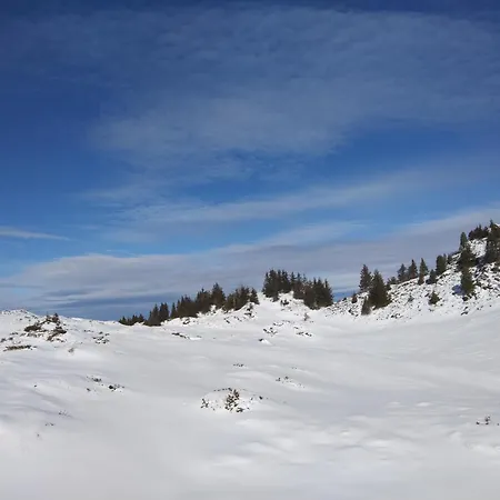 Le Chalet *