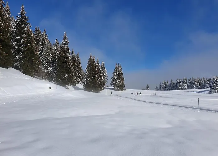 Chalet Le *