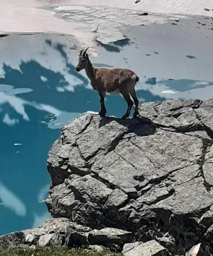 Le
